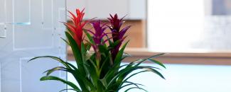 Praxiseigenes Labor für Zahntechnik